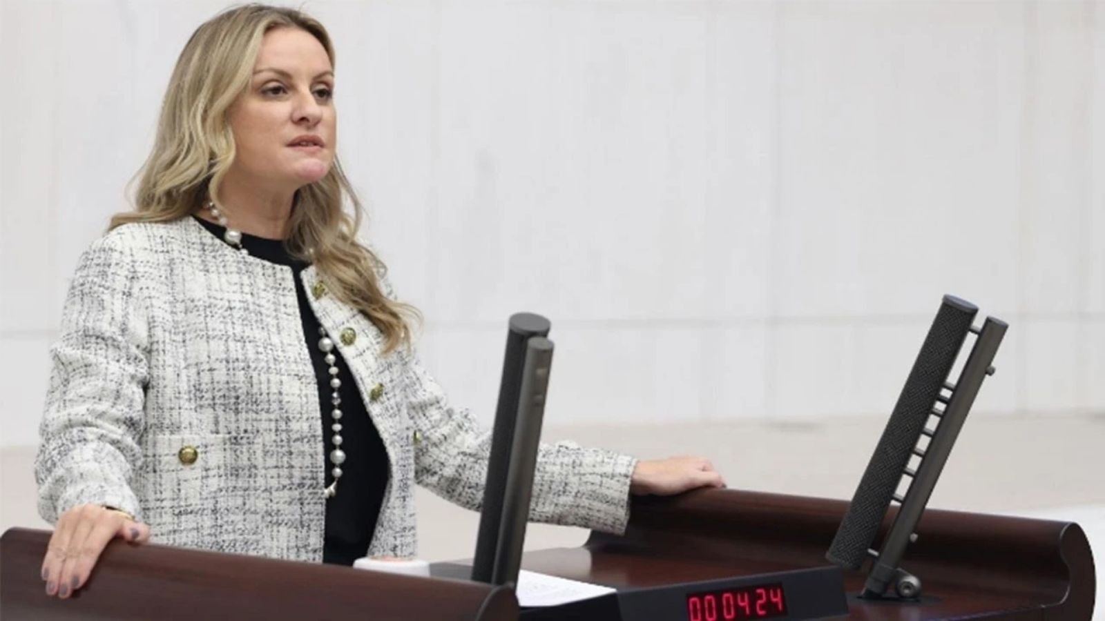 Küre Dağları’ndaki sit alanları ve madencilik projelerine ilişkin haber görseli