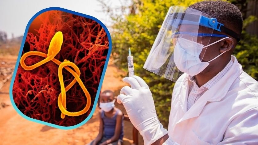 Sudan virüsü - TurizmPolitika Sudan virüsü