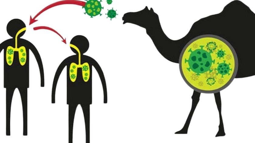 MERS-CoV - TurizmPolitika MERS-CoV