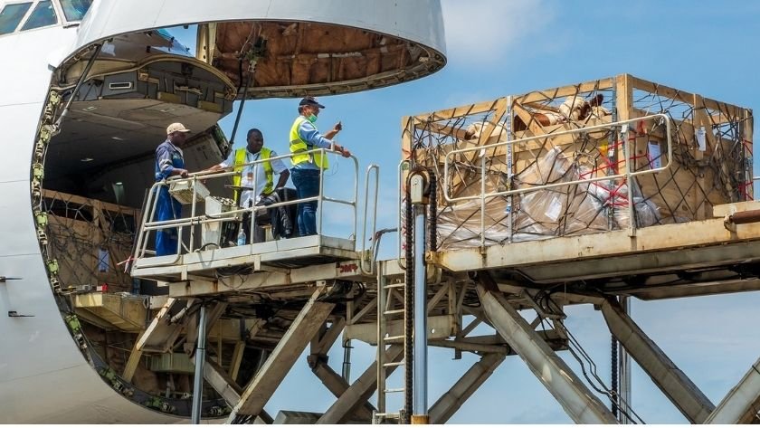 canlı hayvan taşımacılığı