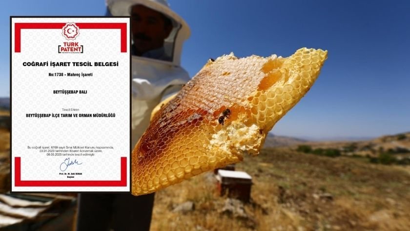 Beytüşşebap Balı