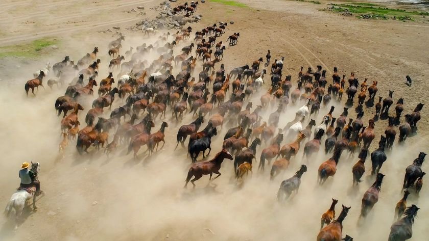 Hürmetçi Sazlığı ekoturizm