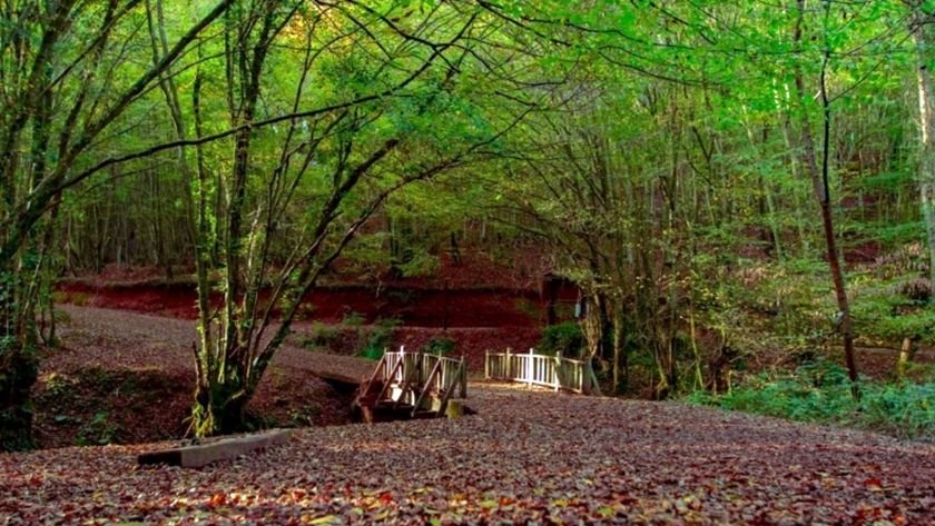 Beykoz’da bir haftada yedi doğa gezisi