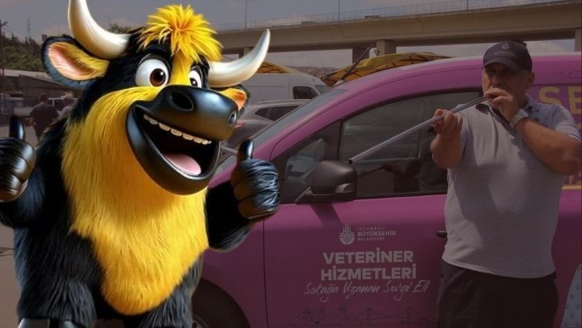 İBB boğa yakalama timi