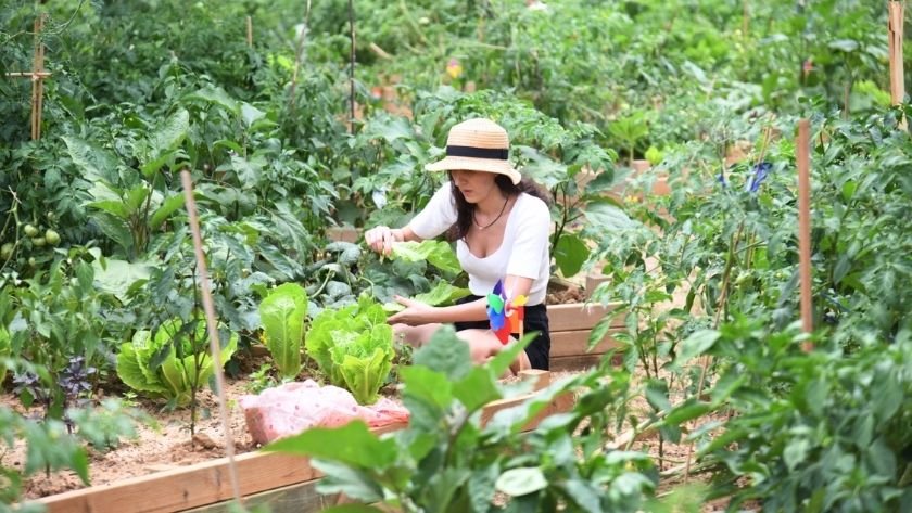 Kadıköy Belediyesi CDP A Listesi