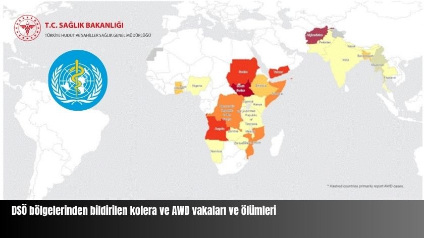 Küresel kolera riski