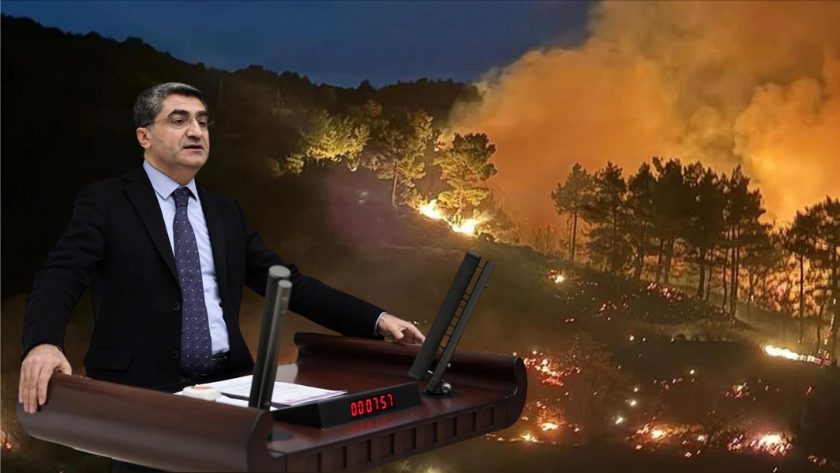 Muğla’da orman yasağı Meclis gündeminde