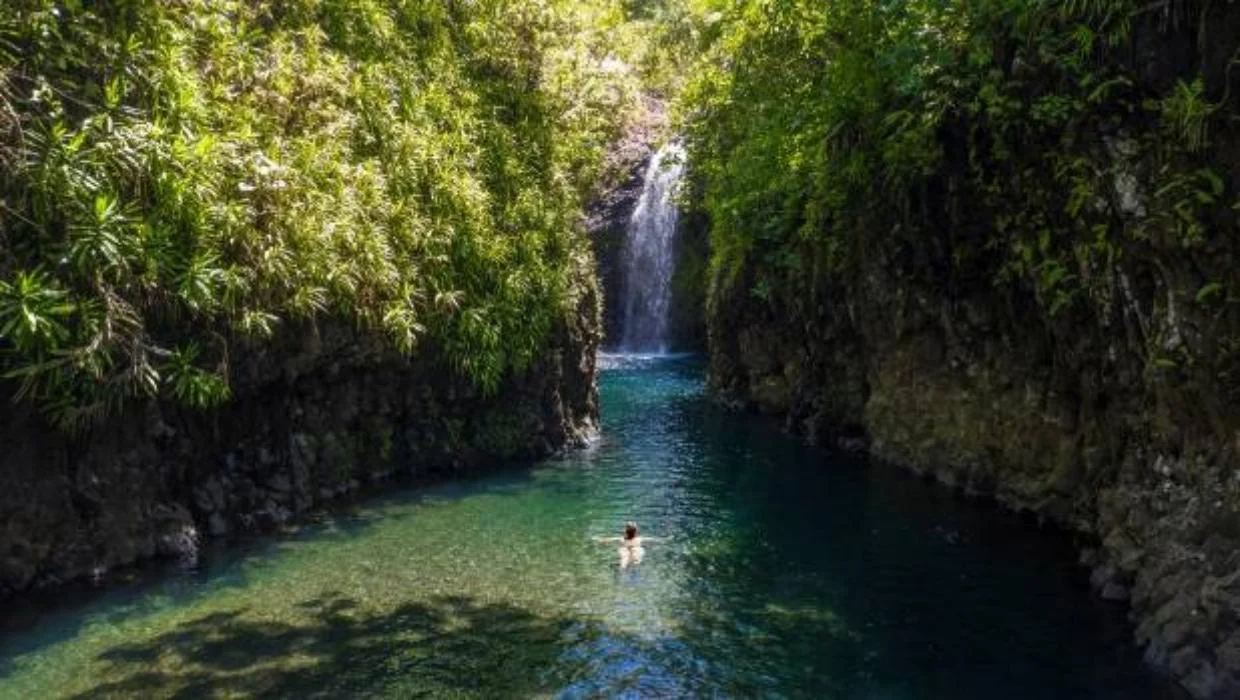 Taveuni adası tropik cennetiyle büyülüyor