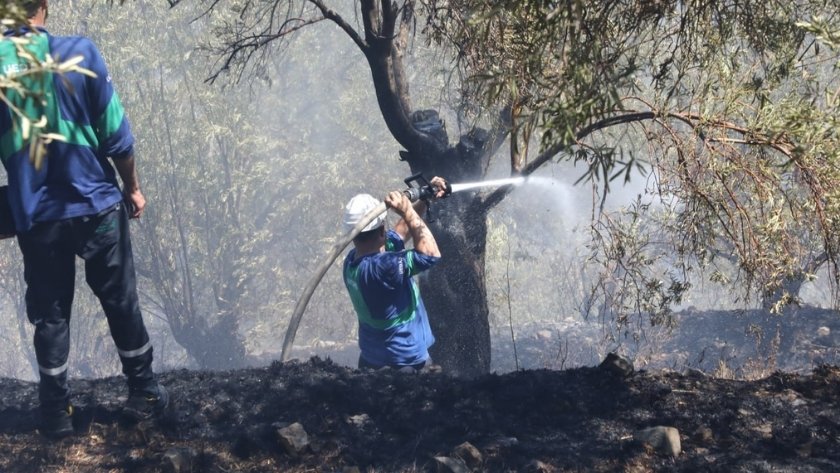 Edremit Çamlıbel yangını