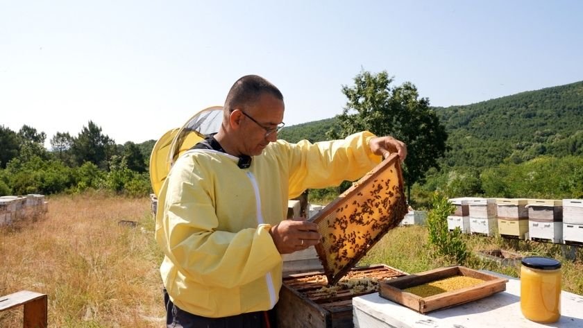 Yalova kestane balı