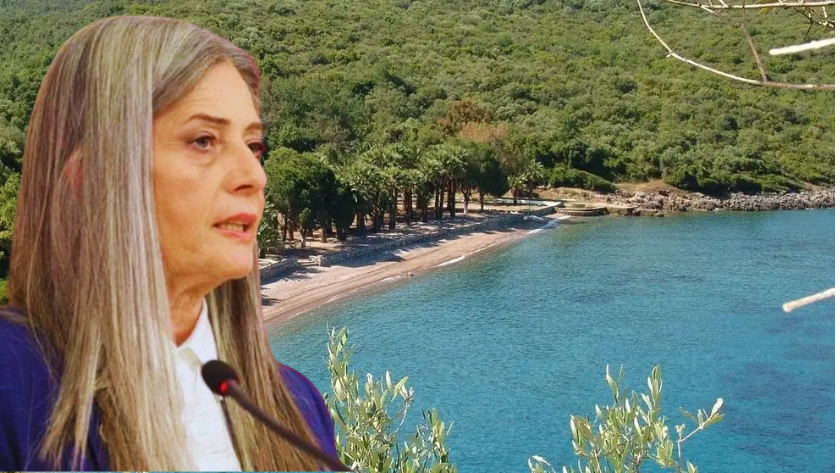 Kıyıdaki ormanların tahsisi Meclis gündeminde