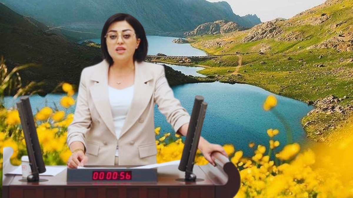 Cilo Dağları ve Mergabütan için TBMM’ye soru önergesi verildi