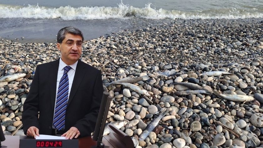 Kazanlı kıyı kirliliği TBMM’de gündeme taşındı