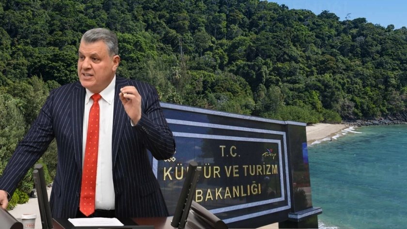 Orman tahsisleri ve kıyı erişimi TBMM gündeminde