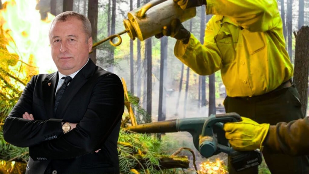 Yanan orman alanlarında madencilik yasağı