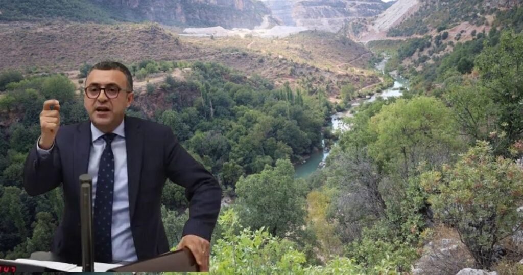 Lice ormanlarının korunması TBMM gündemine taşındı - TurizmPolitika Lice ormanları