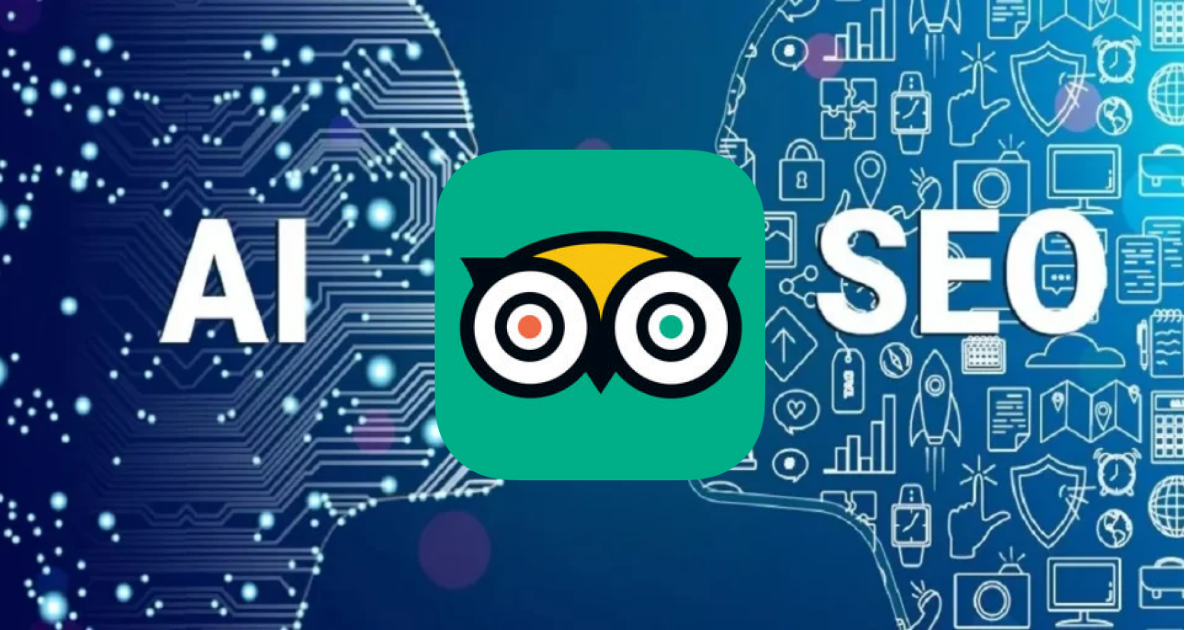 Tripadvisor CEO Ai çağında seo’nun rolünü değerlendirdi