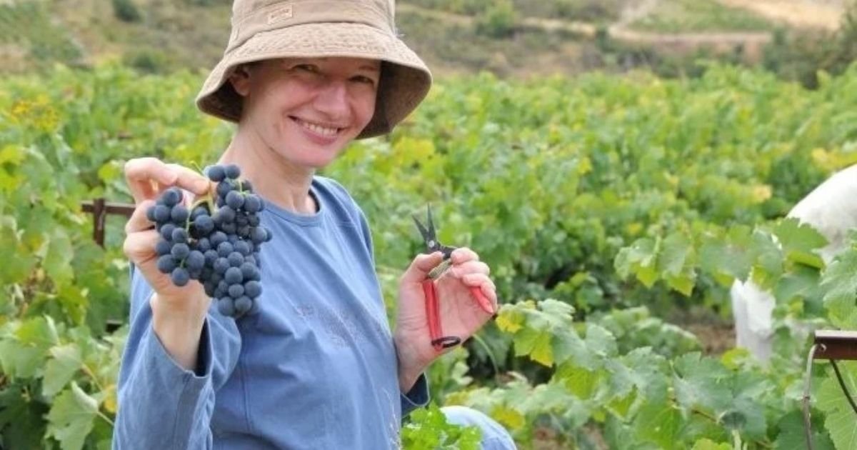 Agriturizm nedir? Uygulamada kullanılan yasal modeller ve örgütlenme seçenekleri