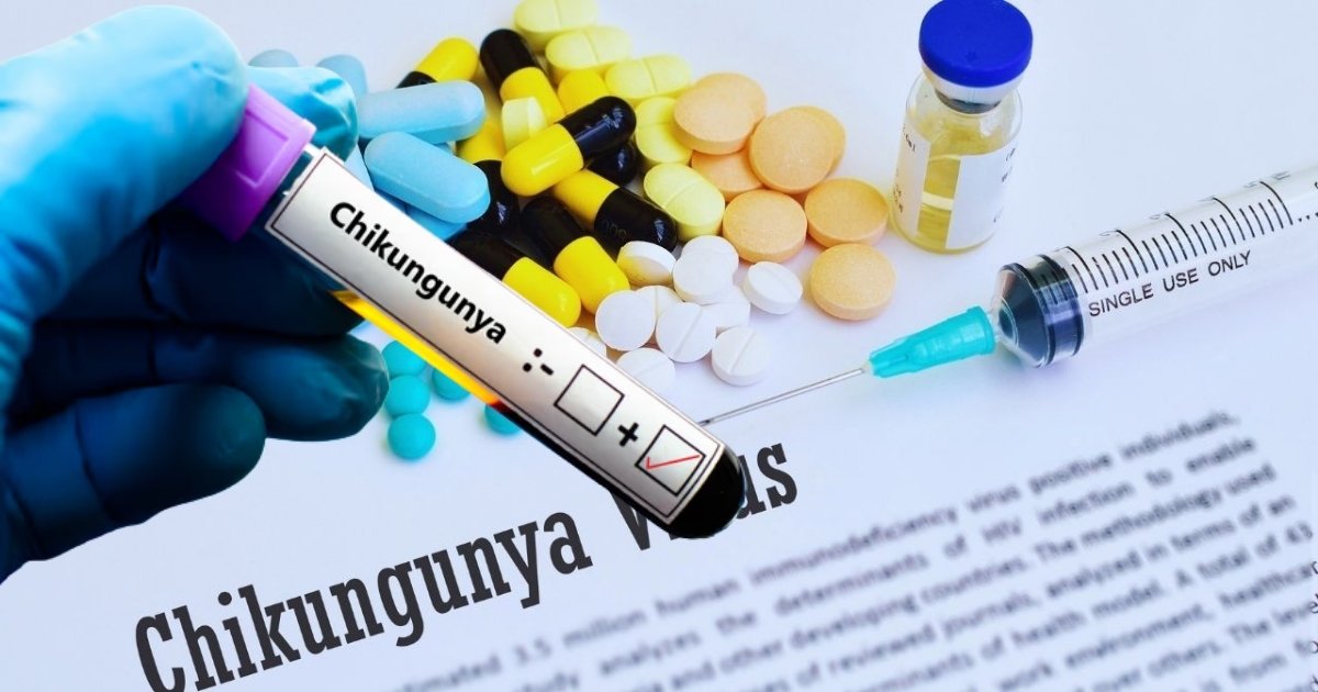 Chikungunya virüsü küresel tablo ve tanım