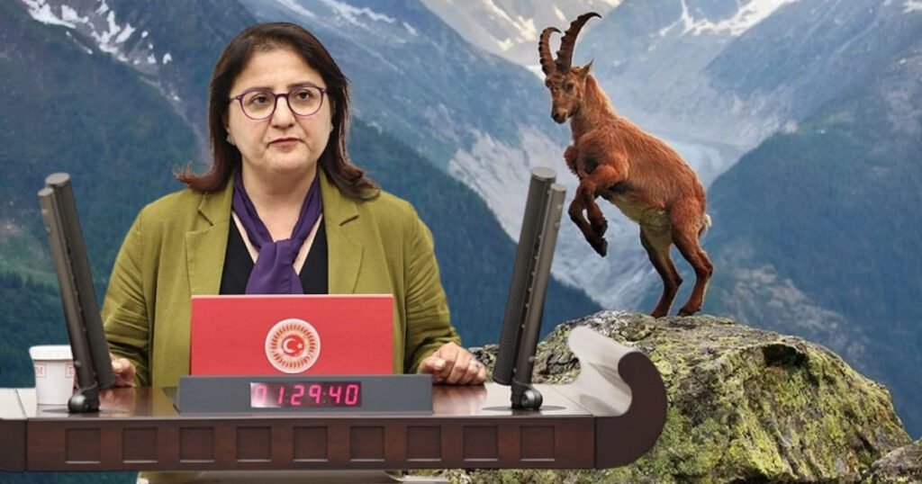 Dersimde avcılık tepkisi Meclise taşındı - TurizmPolitika Dersim avcılık tepkisi