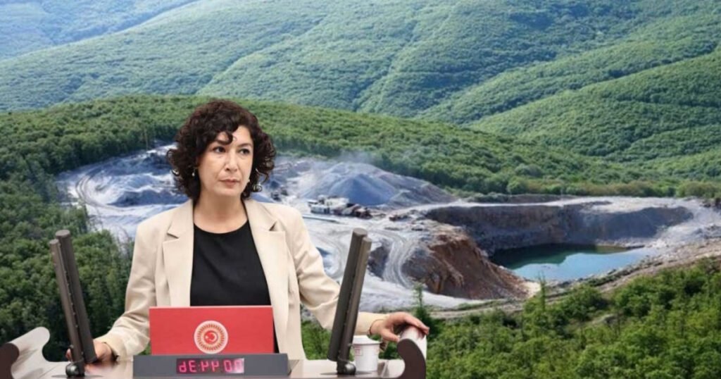 Halide Türkoğlu Meclis’te doğa talanını eleştirdi