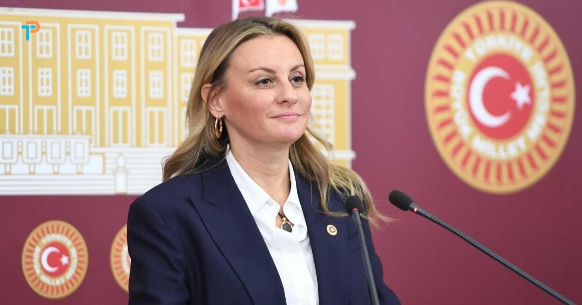 Aetius Sarnıcı için Meclis’te soru