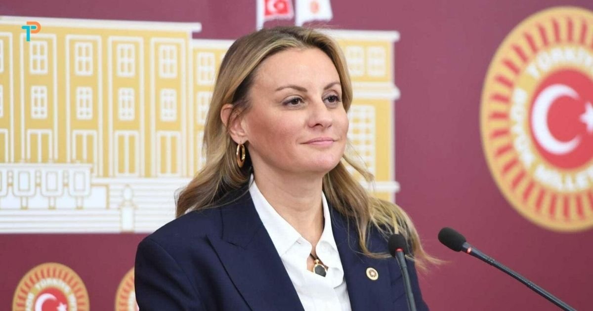 Efes’in kapısında tartışmalı proje