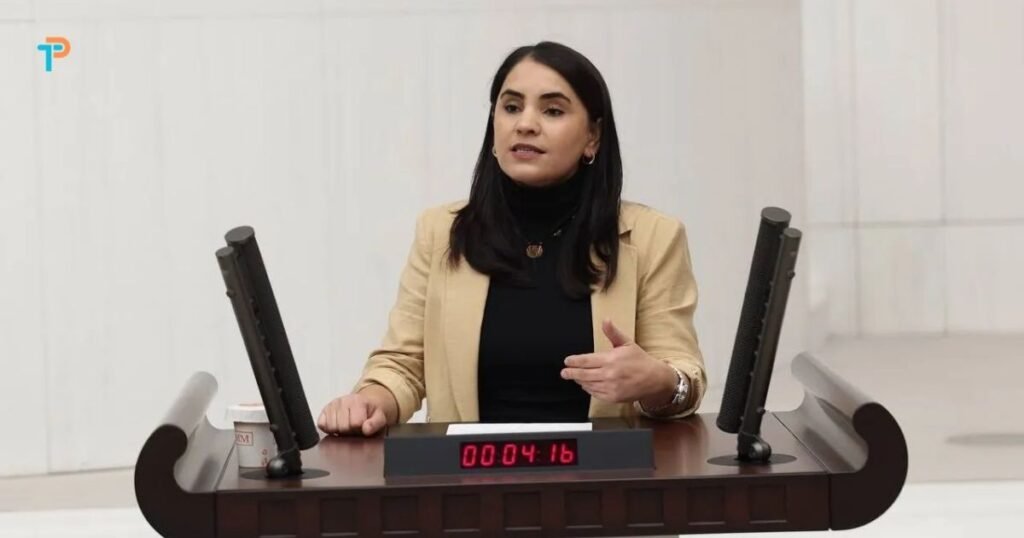 Nerdüş Barajı kültürel mirası tehdit ediyor - TurizmPolitika Nevroz Uysal Aslan Nerdüş HES Projesi kültürel miras uyarısı