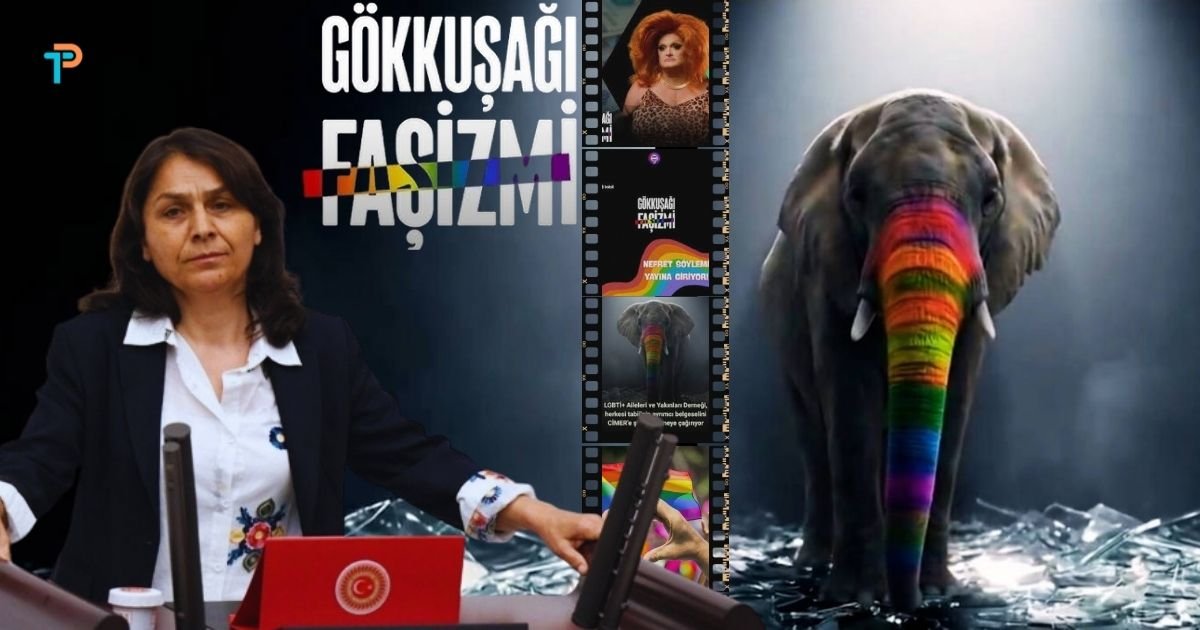 Gökkuşağı Faşizmi TBMM gündeminde