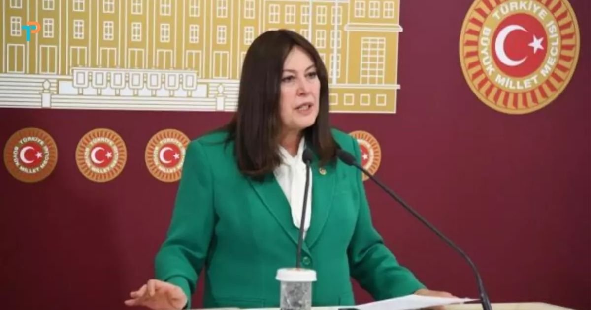 Yayıncılık sektörü alarm veriyor