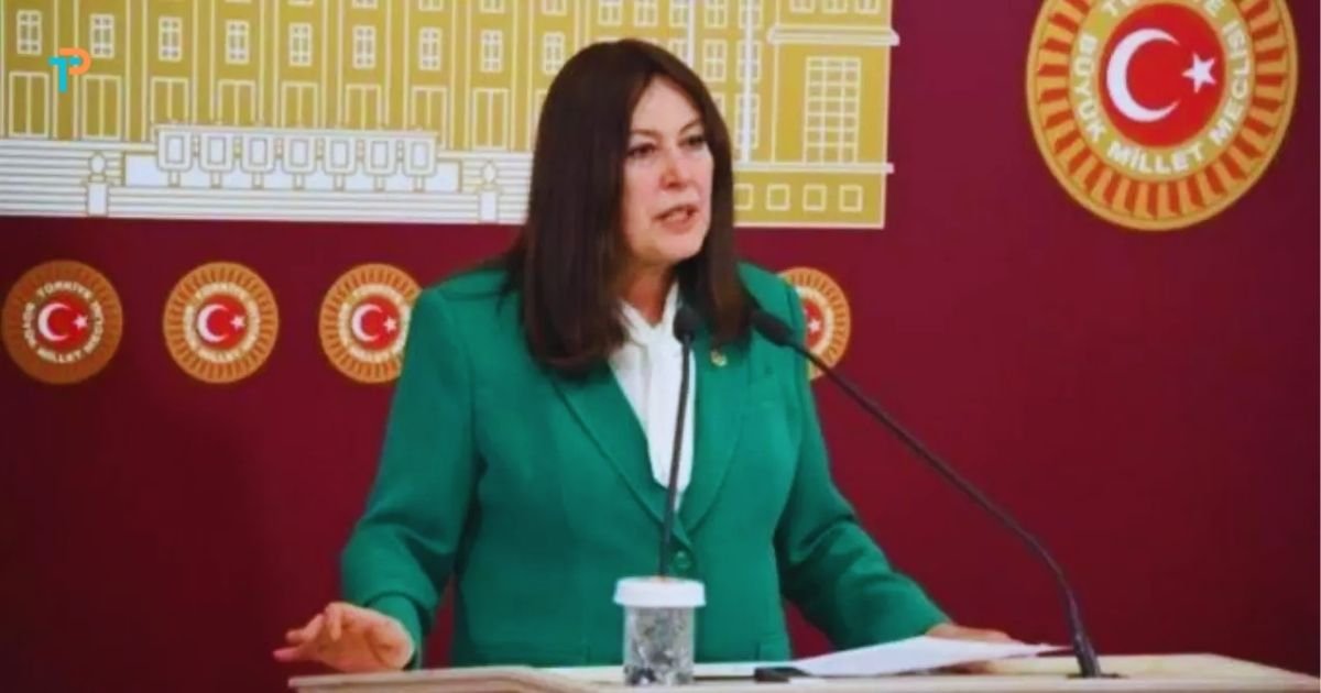 Akhisar’da altın arama tepkisi