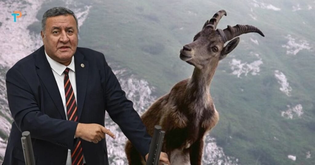 Milli Parklar Kanunu