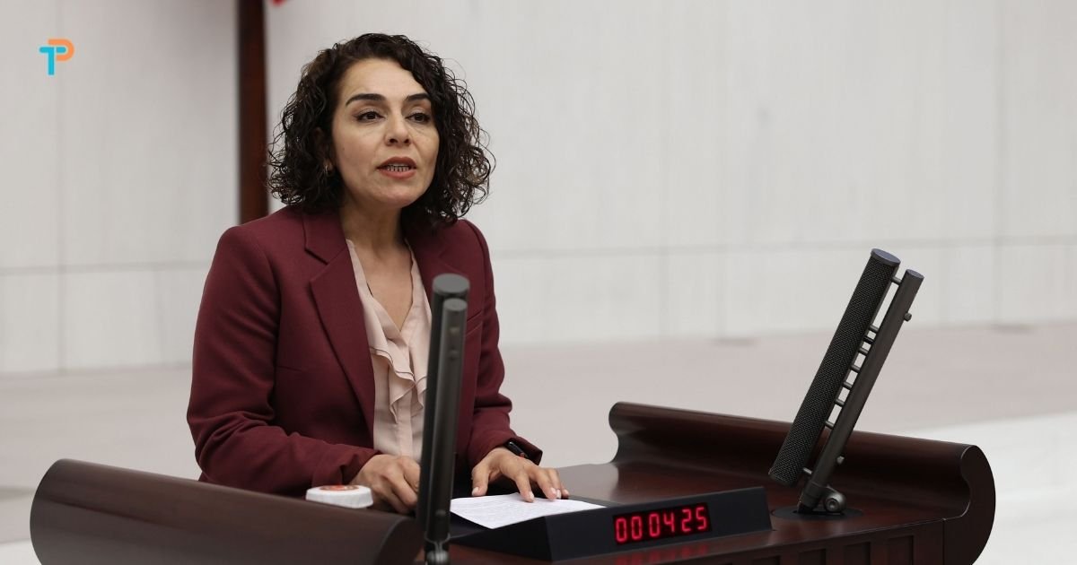 Uçuş iptalleri Meclis gündeminde