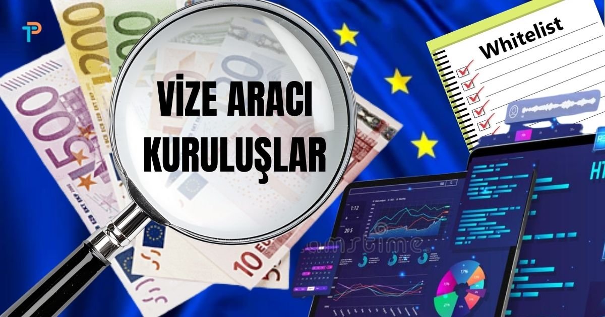 Vize sistemi erişim sorunu neden büyüyor