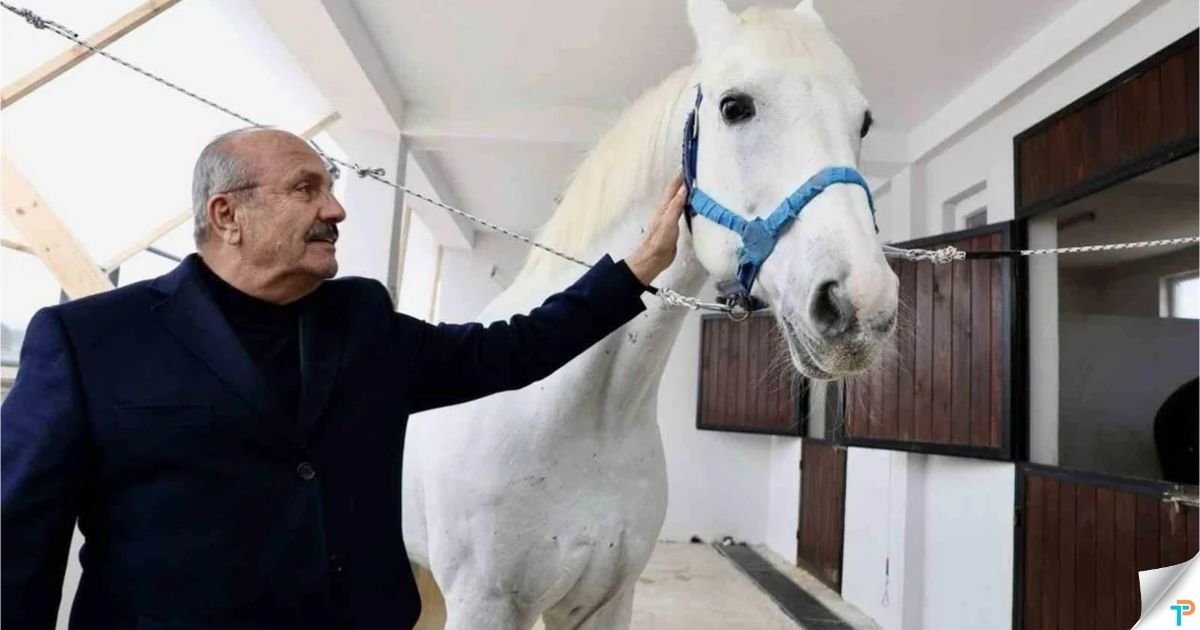 Taşköprü Atlı Turizm Merkezi Projesinde Çalışmalar Sürüyor